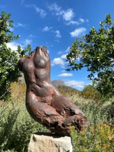 Dylan Lewis Sculpture Garden